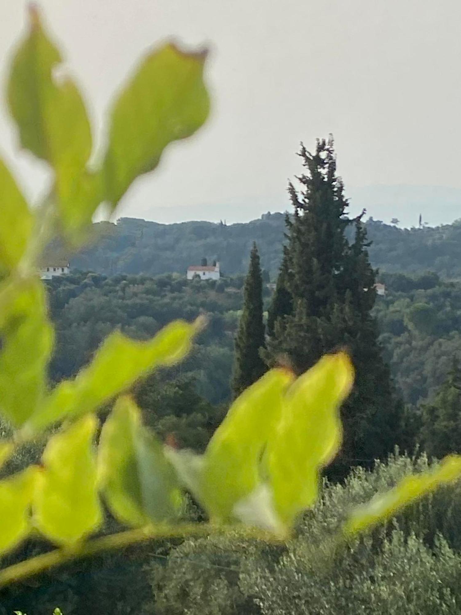 Kastellanoi  Dinateli Houses - Live Like A Local In Corfu מראה חיצוני תמונה