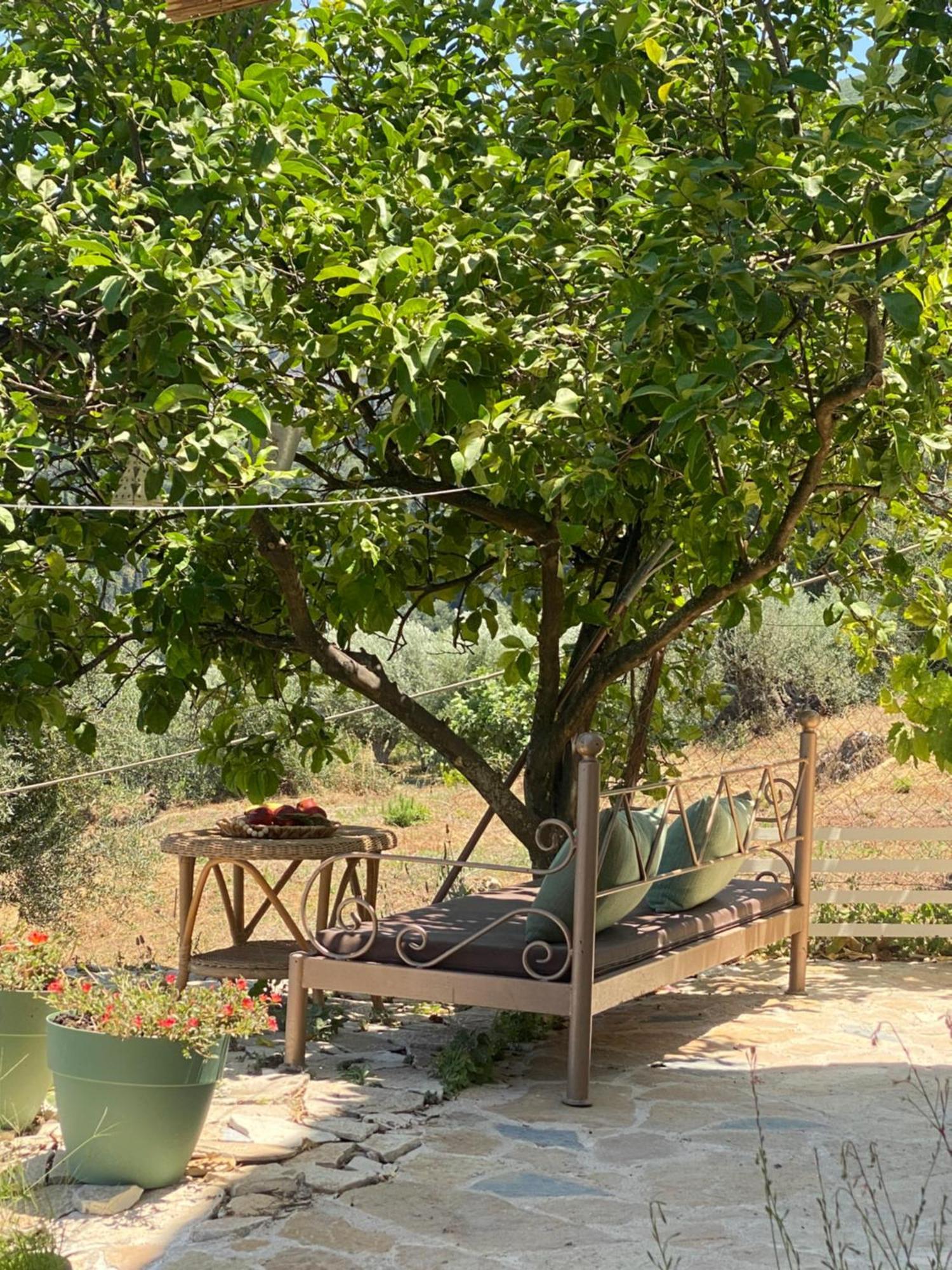 Kastellanoi  Dinateli Houses - Live Like A Local In Corfu מראה חיצוני תמונה