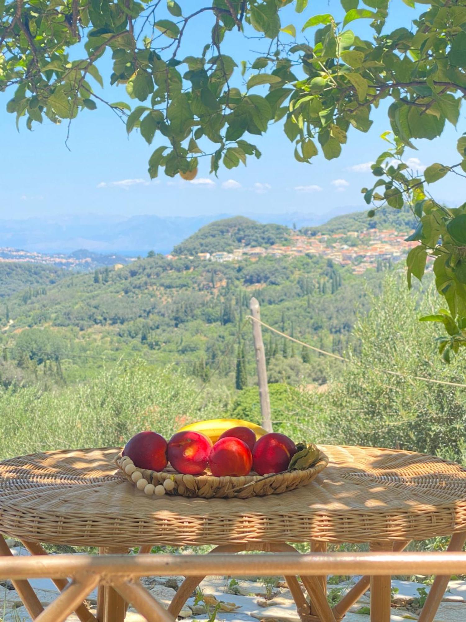 Kastellanoi  Dinateli Houses - Live Like A Local In Corfu מראה חיצוני תמונה